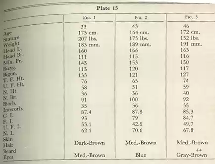 Plate 15